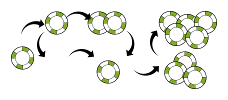 STRATEGIA E SISTEMI DI PUNTATA NELLA ROULETTE