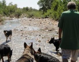 Arnold Snyder con i suoi cani