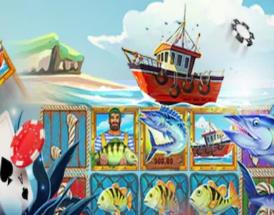 Termini Condizioni Bonus