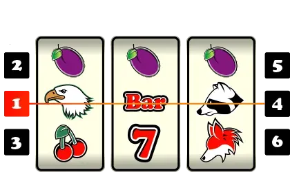 Big Bonus
