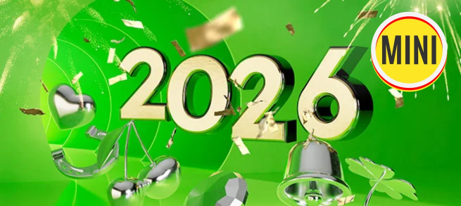 Mini FS Festival NY 2026                